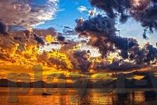 mk体育在线下载-MK体育，优化在线下载体验，引领数字体育时代