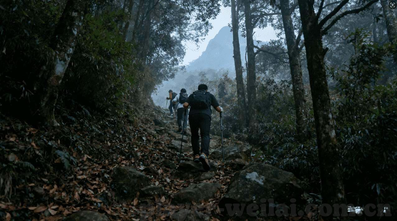 威尼斯人在线注册-威尼斯人在线注册，体验虚拟世界的魅力
